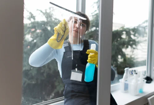 Nettoyage de vitres intérieures et extérieures à Entrelacs